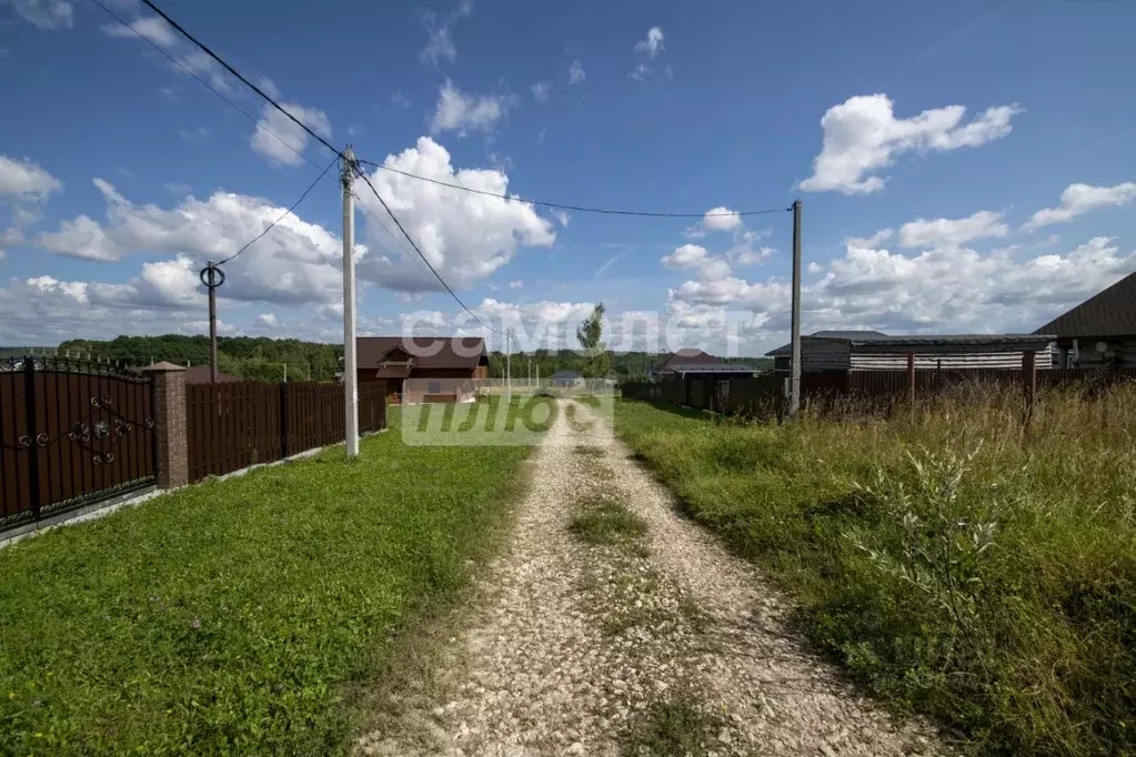 Участок в Нижегородская область, Богородский муниципальный округ, д. ... - Фото 2