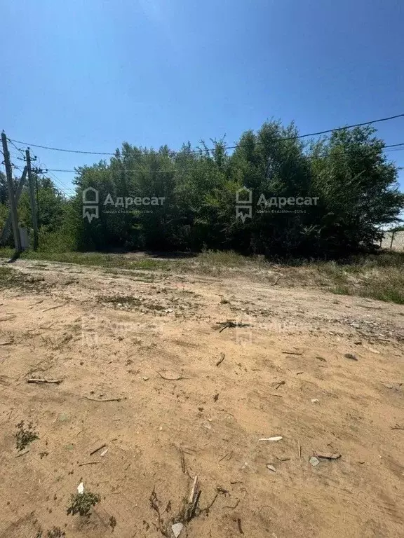 Участок в Волгоградская область, Волгоград Поселок 19 Партсъезда тер., ... - Фото 1