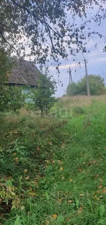 Участок в Псковская область, Печорский муниципальный округ, д. ... - Фото 2