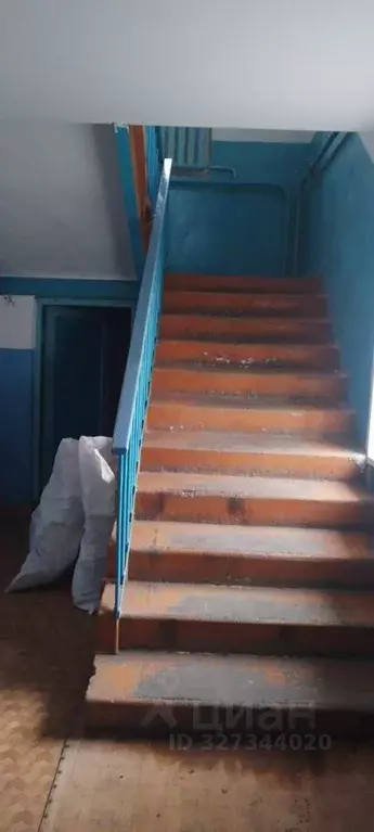 Помещение свободного назначения в Курганская область, с. Половинное ... - Фото 2