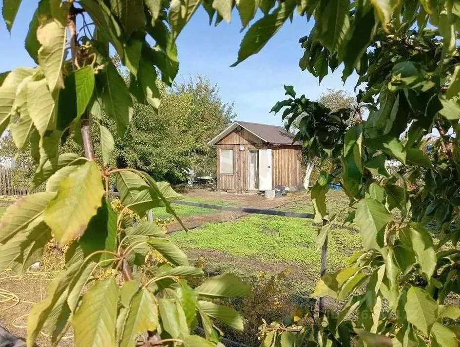 Дом в Курская область, Горшеченский район, Куньевский сельсовет, ... - Фото 1