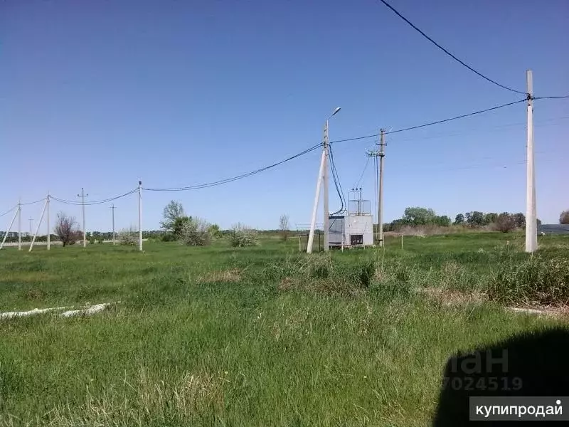 Участок в Самарская область, Ставропольский район, Нижнее Санчелеево ... - Фото 1