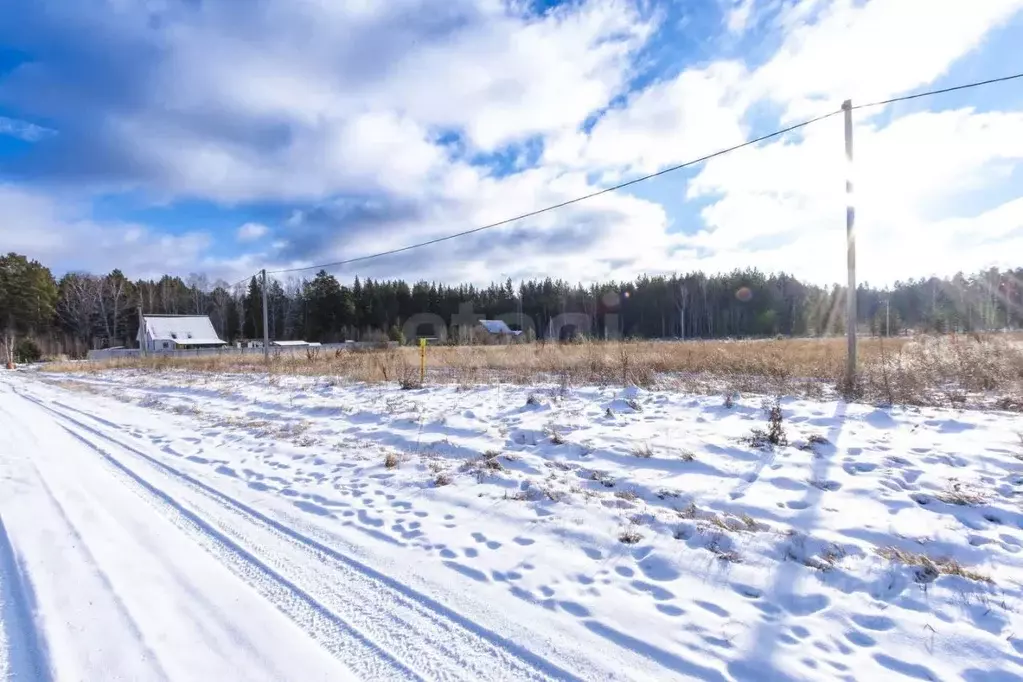 Участок в Тюменская область, Тюменский муниципальный округ, с. ... - Фото 1