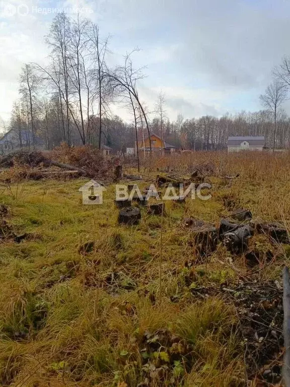 Участок в Тобольск, Дачный переулок (15 м) - Фото 2