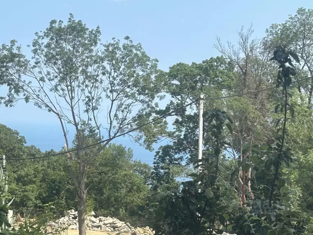 Участок в Крым, Ялта муниципальный округ, Виноградное пгт  (15.0 сот.) - Фото 2