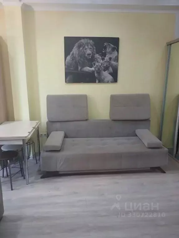 Студия Краснодарский край, Сочи Целинная ул., 21А (25.0 м) - Фото 2