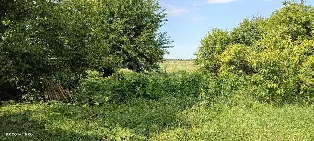 Участок в Крым, Алушта муниципальный округ, с. Изобильное ул. Новая ... - Фото 0