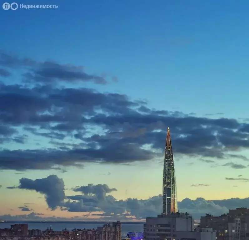 3-комнатная квартира: Санкт-Петербург, Туристская улица, 15к2 (92 м) - Фото 1