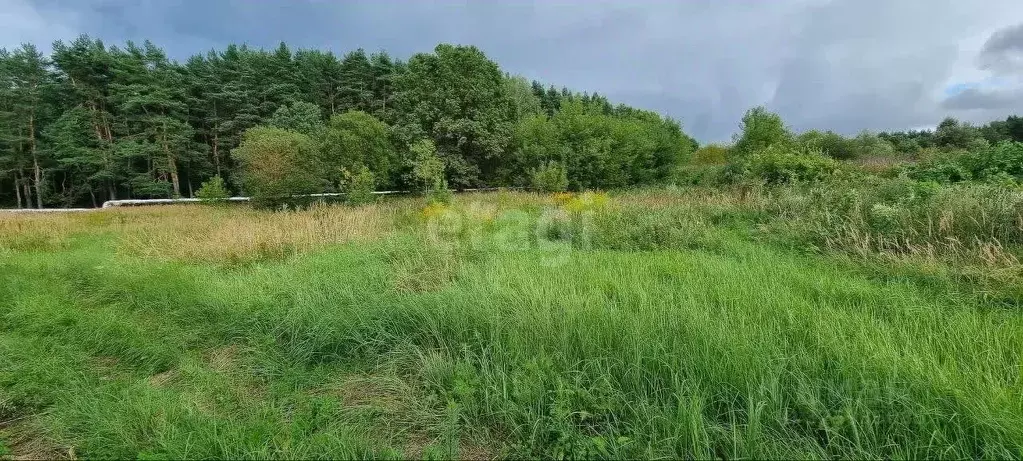 Участок в Калужская область, Калуга Михалевская ул. (25.0 сот.) - Фото 2