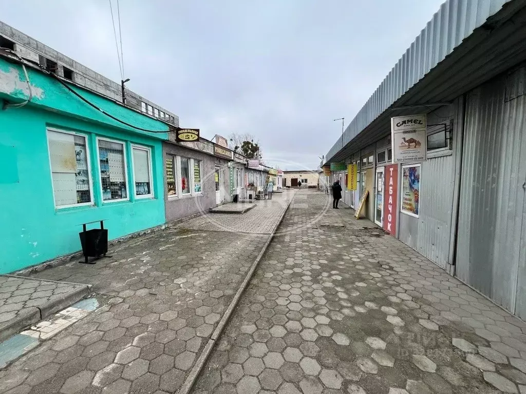 Торговая площадь в Калининградская область, Калининград ул. ... - Фото 1