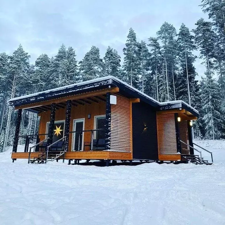 Дом в Ленинградская область, Выборгский район, Приморское городское ... - Фото 1