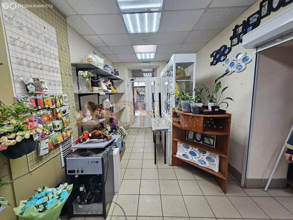 Помещение свободного назначения (56.6 м) - Фото 2