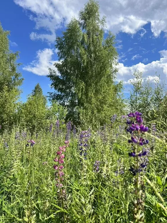 Участок в Тверская область, Конаковский муниципальный округ, ... - Фото 1