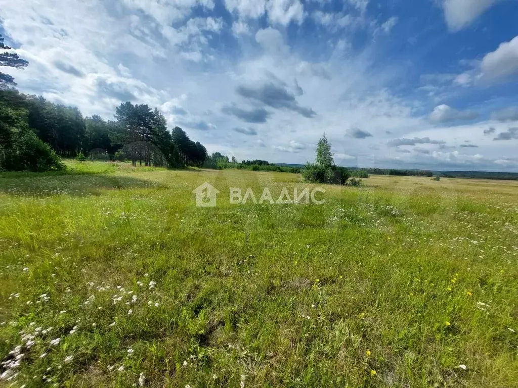 Участок 7,5 сот. (ИЖС) - Фото 0