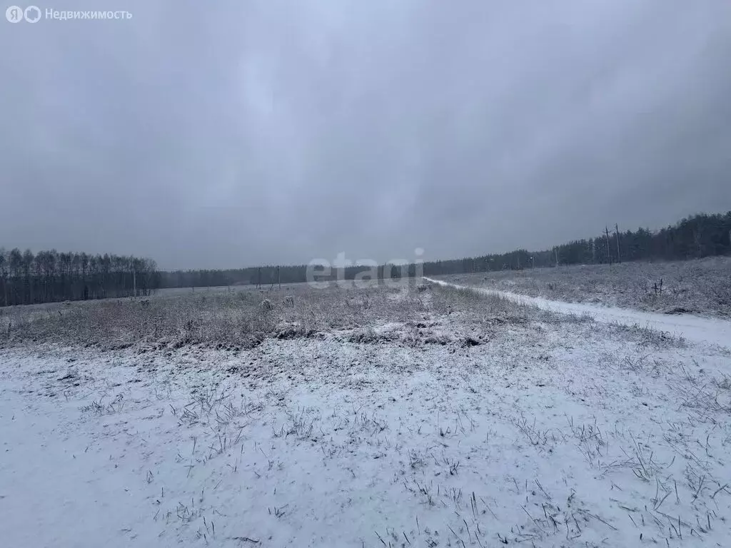 Участок в Нижегородская область, Балахнинский муниципальный округ, ... - Фото 1