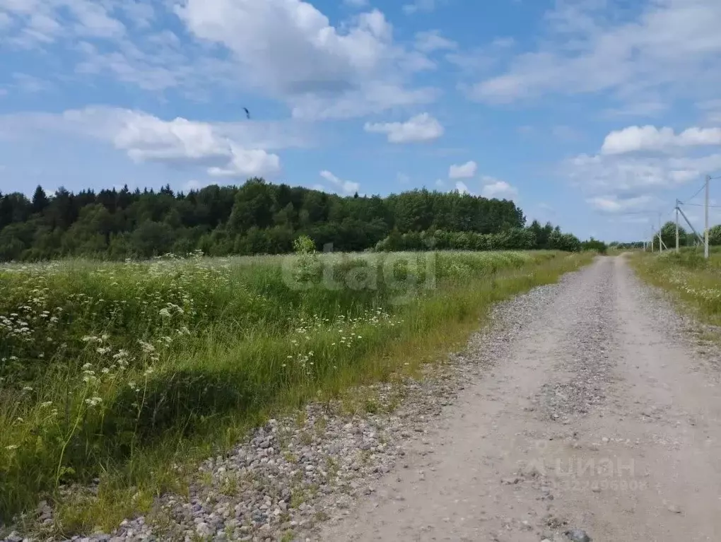 Участок в Вологодская область, Малинки кп ул. Контрастов (10.0 сот.) - Фото 2