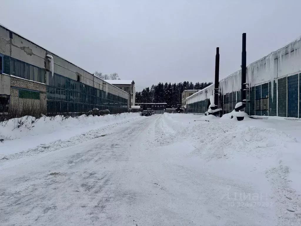 Помещение свободного назначения в Московская область, Егорьевск ... - Фото 0