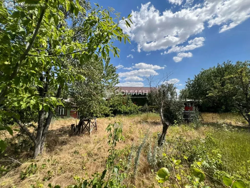 Участок в Новочеркасск, садовое товарищество Политехник, 49 (5.95 м) - Фото 0