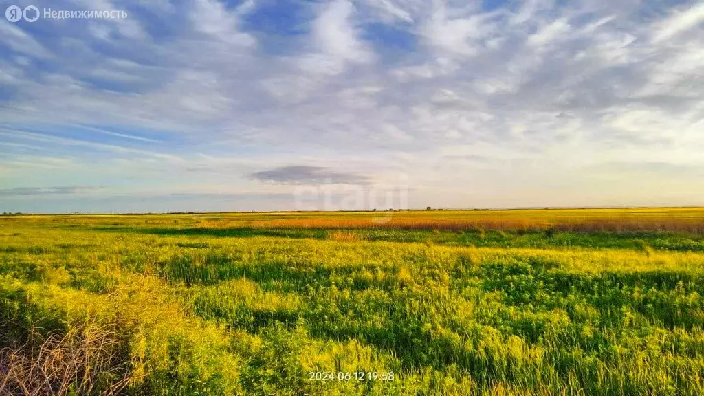 Участок в Амурская область, Благовещенский муниципальный округ, село ... - Фото 0