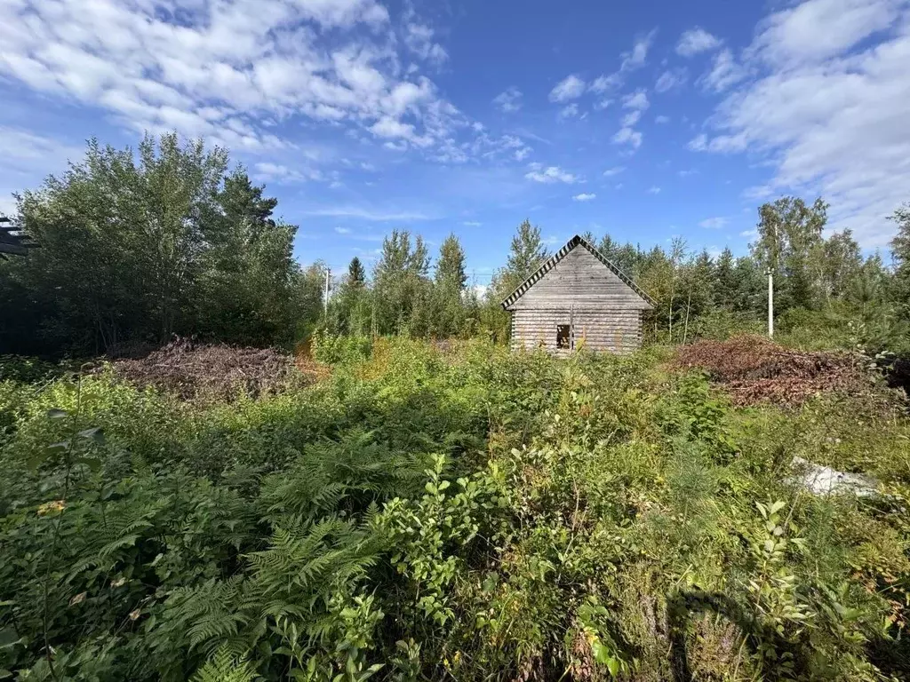 Участок в Ленинградская область, Кировский район, Мгинское городское ... - Фото 0