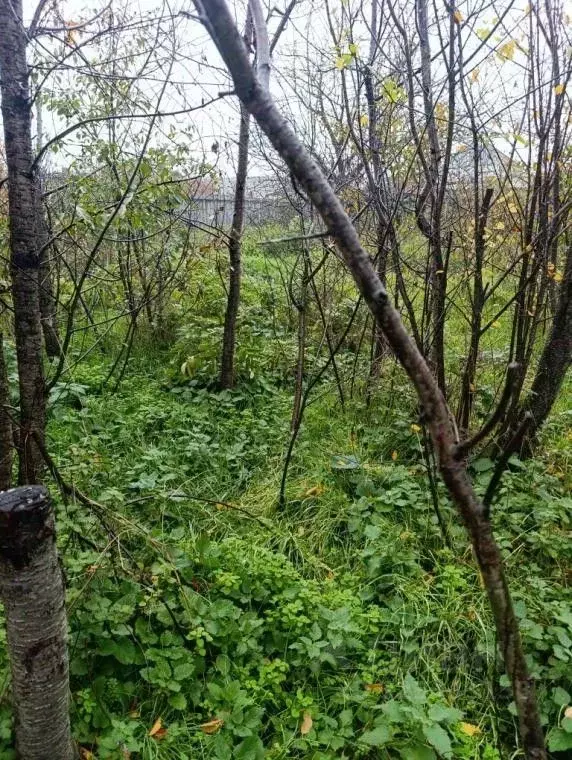 Дом в Крым, Кировский район, Старый Крым городское поселение пл. ... - Фото 2