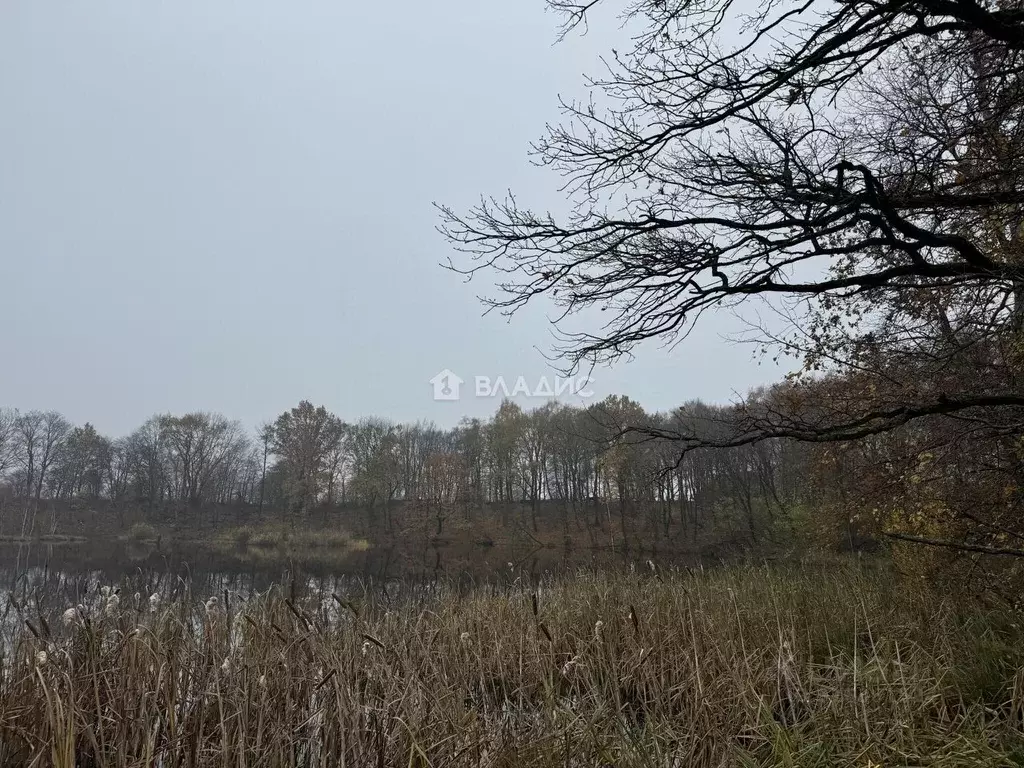 Участок в Калининградская область, Зеленоградский муниципальный округ, ... - Фото 2