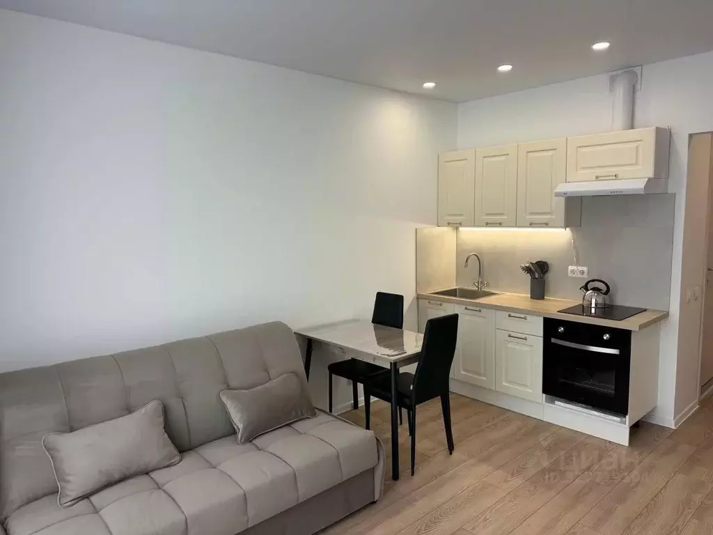 Студия Москва ул. Трехполье, 6к1 (22.5 м) - Фото 2