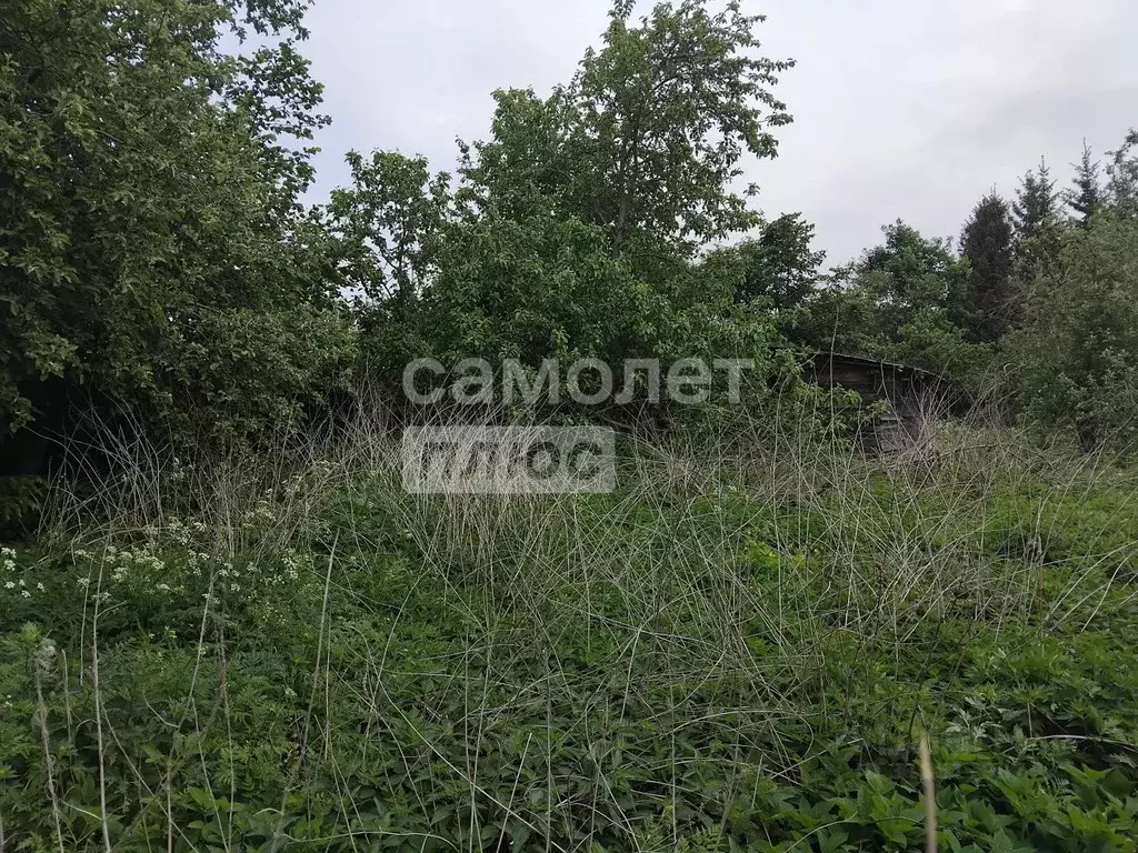 Участок в Москва д. Горчаково, 16 (11.5 сот.) - Фото 1