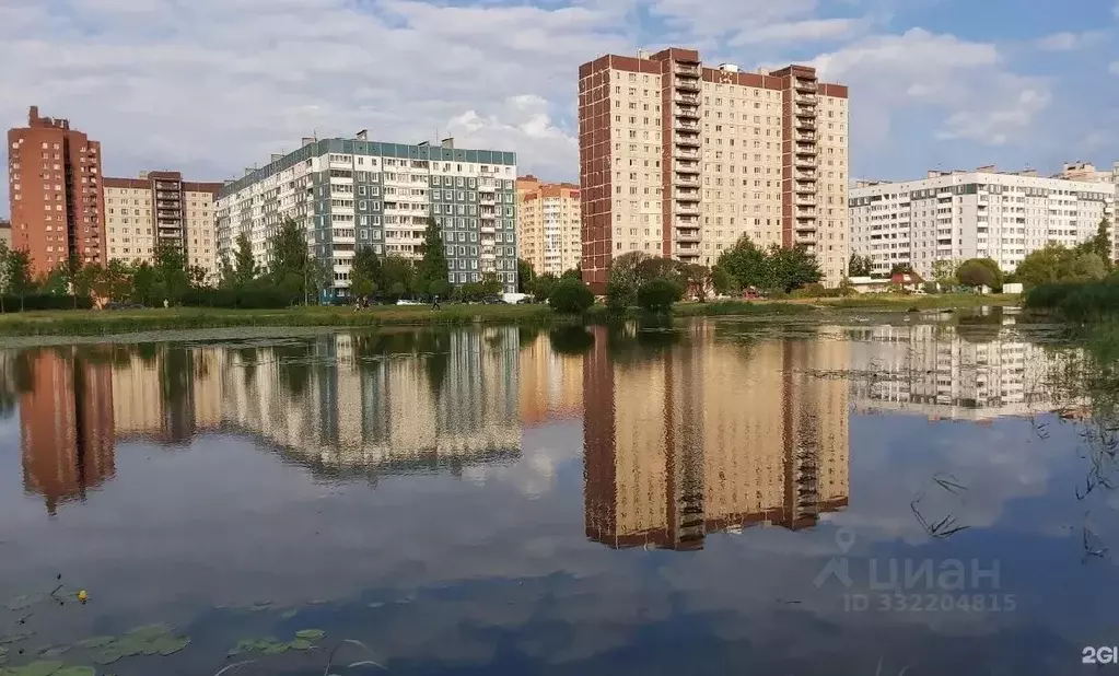 2-к кв. Санкт-Петербург Мартыновская ул., 10К1 (45.3 м) - Фото 1