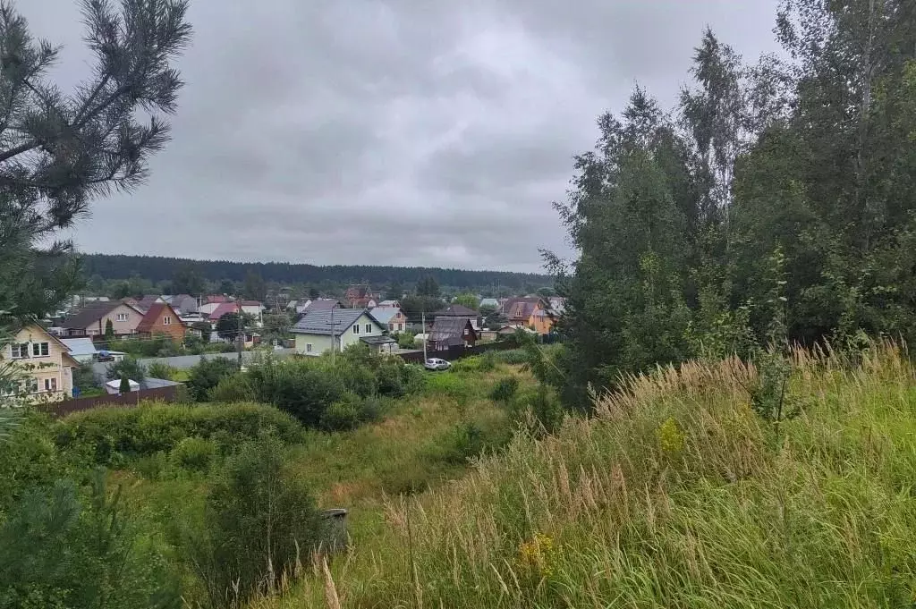 Участок в Московская область, Пушкинский городской округ, д. Лепешки  ... - Фото 0
