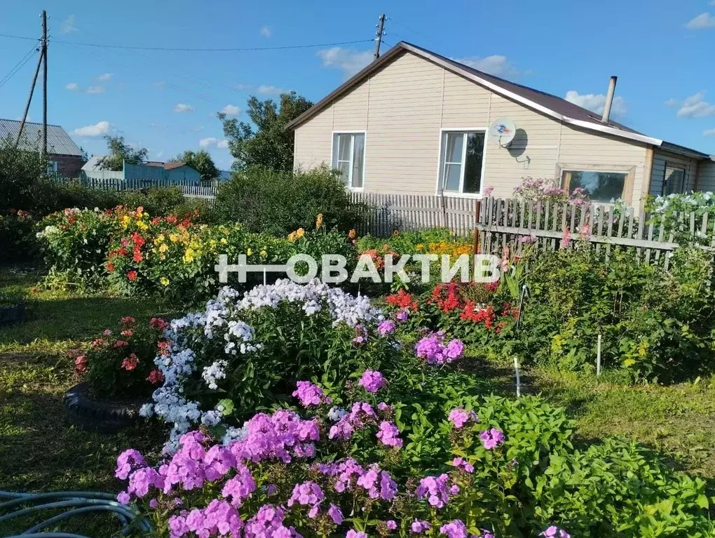 Дом в Новосибирская область, Коченевский район, с. Новомихайловка ул. ... - Фото 1