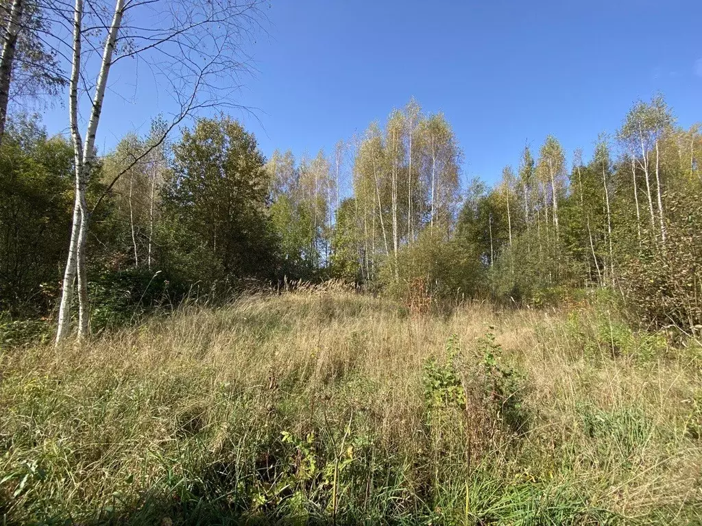 Участок в Московская область, Можайский городской округ, д. Аксаново .,  Купить земельный участок Аксаново, Можайский район, ID объекта - 20006872444