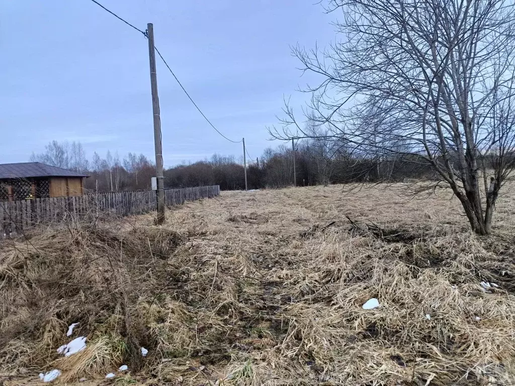 Участок в Ленинградская область, Лужский район, Дзержинское с/пос, д. ... - Фото 1