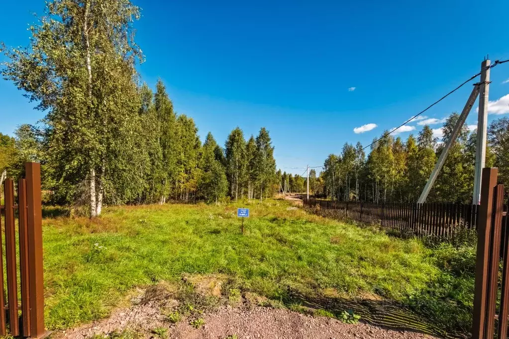 Участок в Ленинградская область, Выборгский район, Полянское с/пос, ... - Фото 1