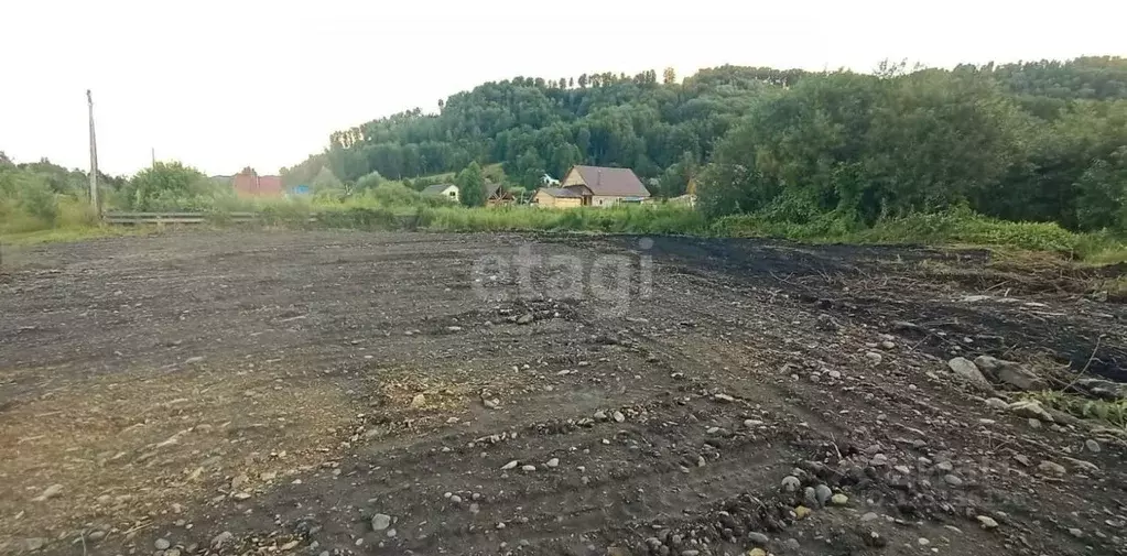 Участок в Алтай, Майминский район, Поселок филиал  (10.0 сот.) - Фото 1