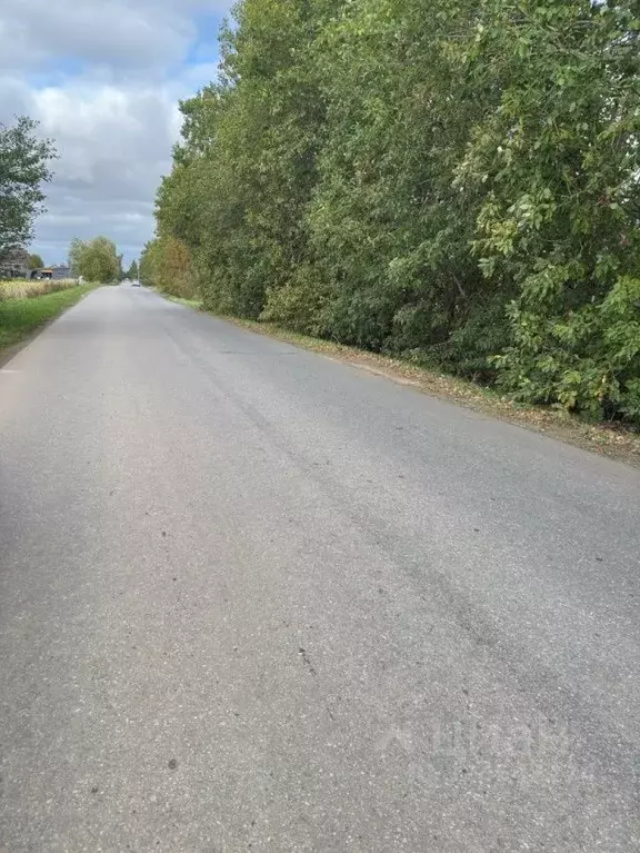 Участок в Новгородская область, Новгородский район, Ракомское с/пос, ... - Фото 1