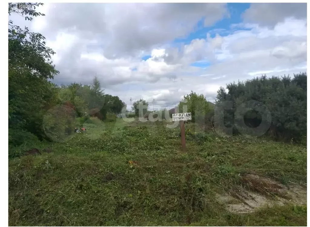 Участок в Амурская область, Благовещенский муниципальный округ, ... - Фото 2