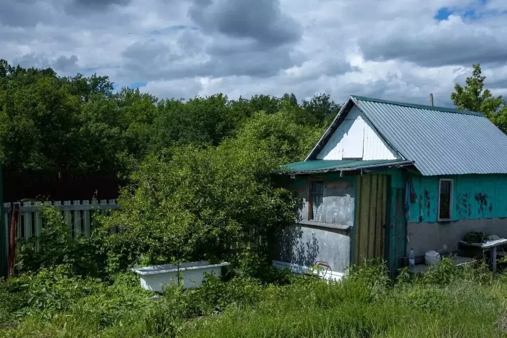Участок в Самарская область, Красноярский район, Новосемейкино ... - Фото 2