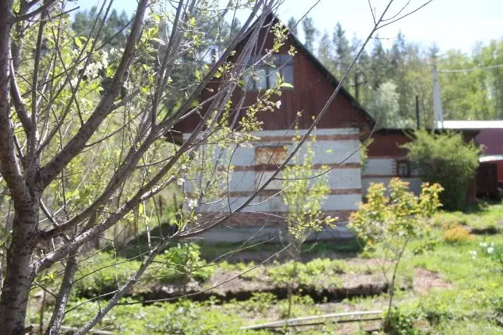 Дом в Новосибирская область, Новосибирск Текстильщик СНТ, 53 (40 м) - Фото 0