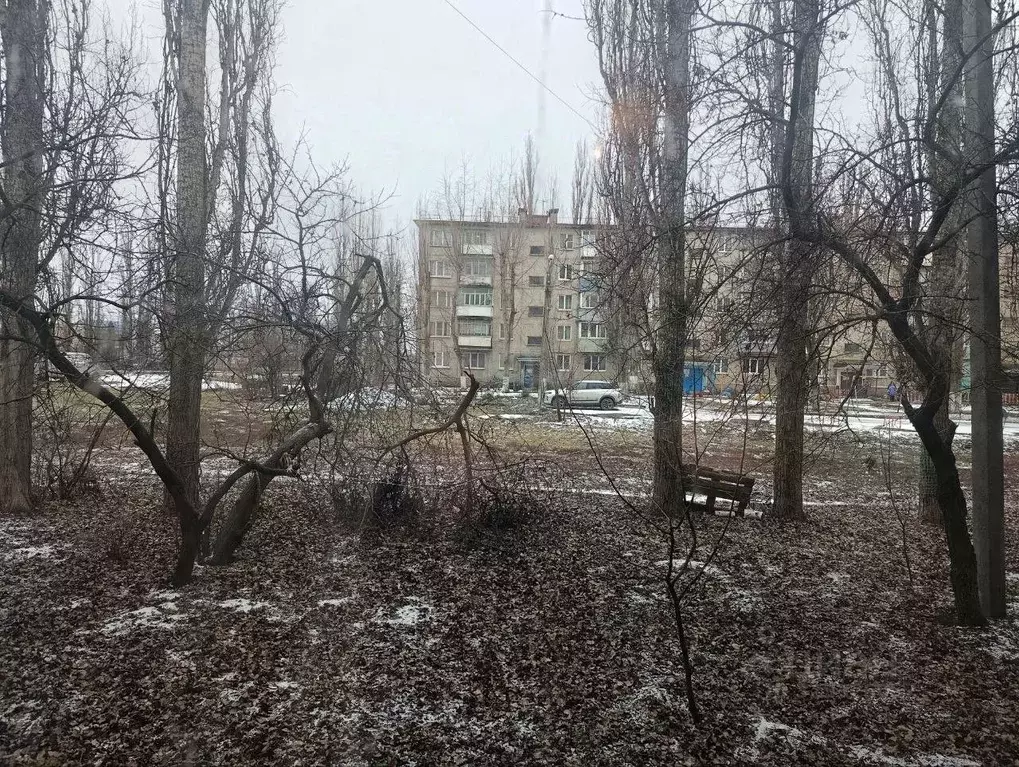 2-к кв. Воронежская область, Воронеж ул. Майская, 29 (44.1 м) - Фото 1