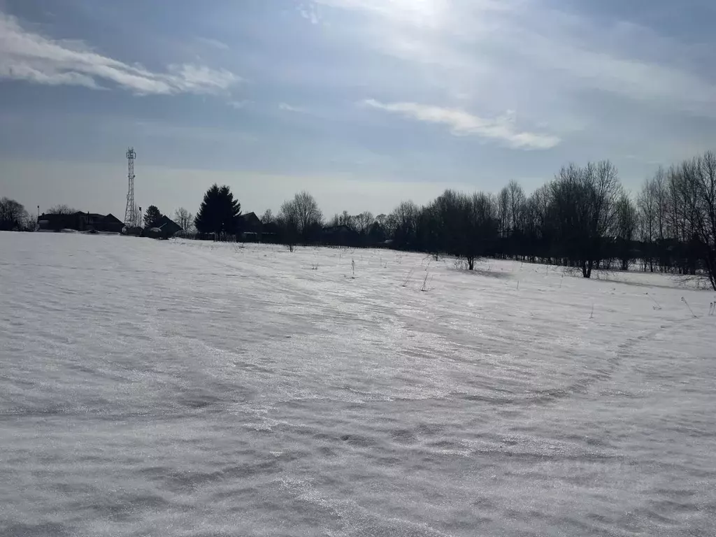 Участок в Московская область, Сергиево-Посадский городской округ, д. ... - Фото 1
