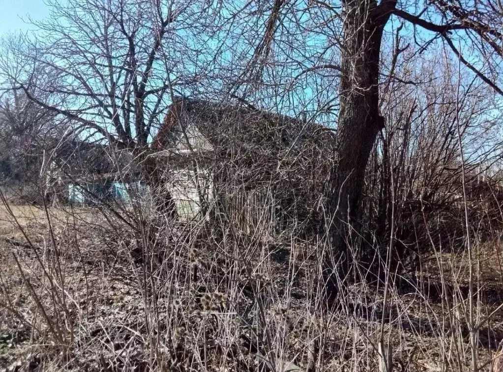 Дом в Брянская область, Погарский район, Витемлянское с/пос, пос. ... - Фото 2