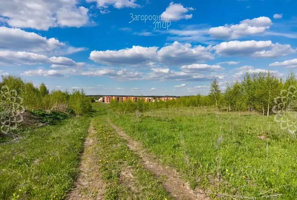 Участок в Московская область, Солнечногорск городской округ, д. ... - Фото 1