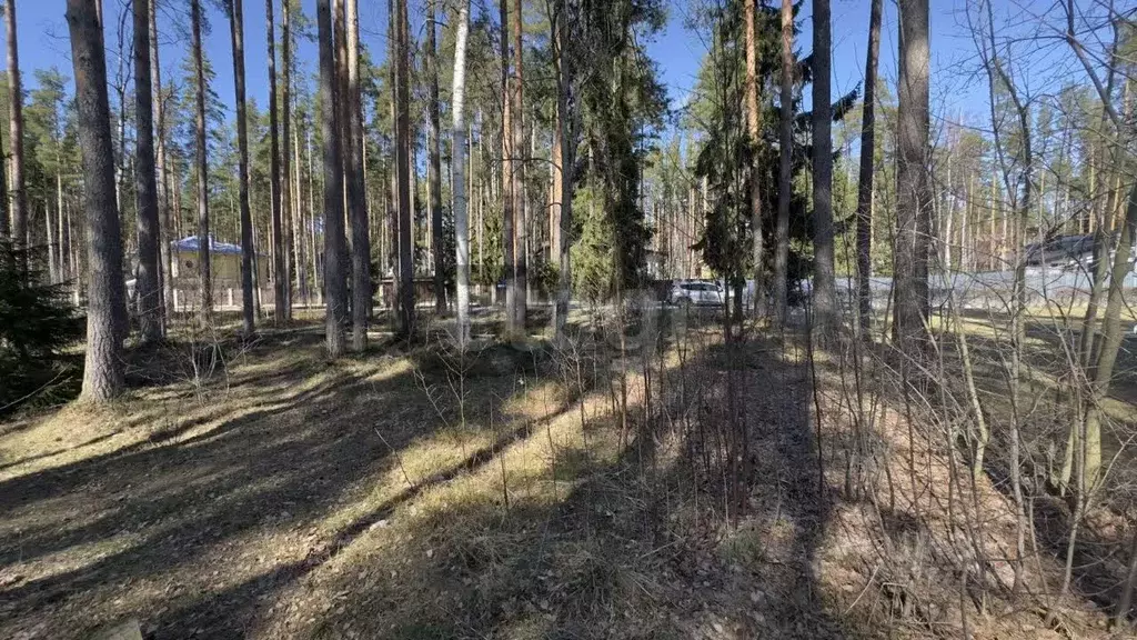 Участок в Ленинградская область, Выборгский район, Полянское с/пос, ... - Фото 0