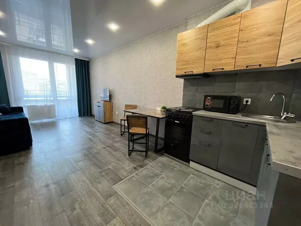 Студия Иркутская область, Иркутск ул. Бородина, 4 (28.0 м) - Фото 2