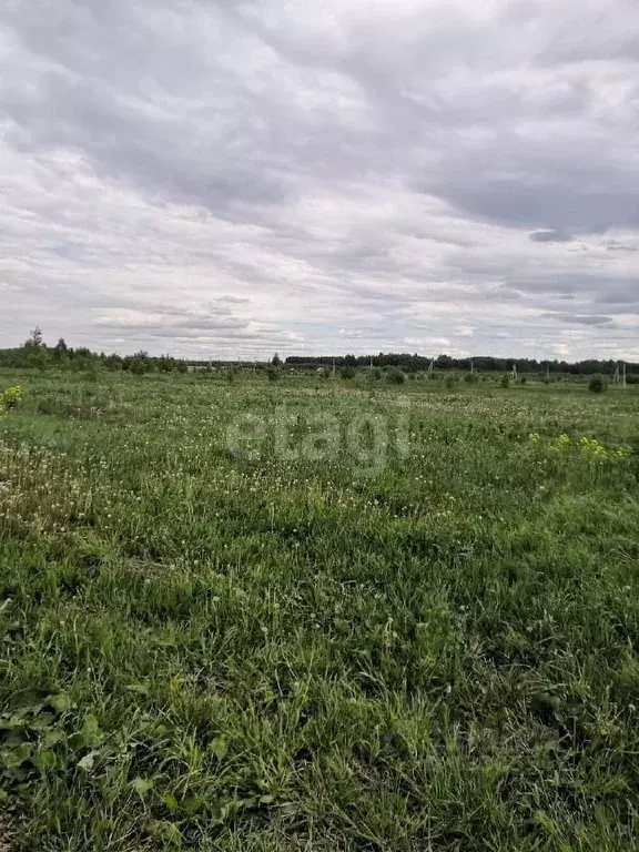 Участок в Кемеровская область, Кемеровский район, с. Елыкаево  (15.0 ... - Фото 1