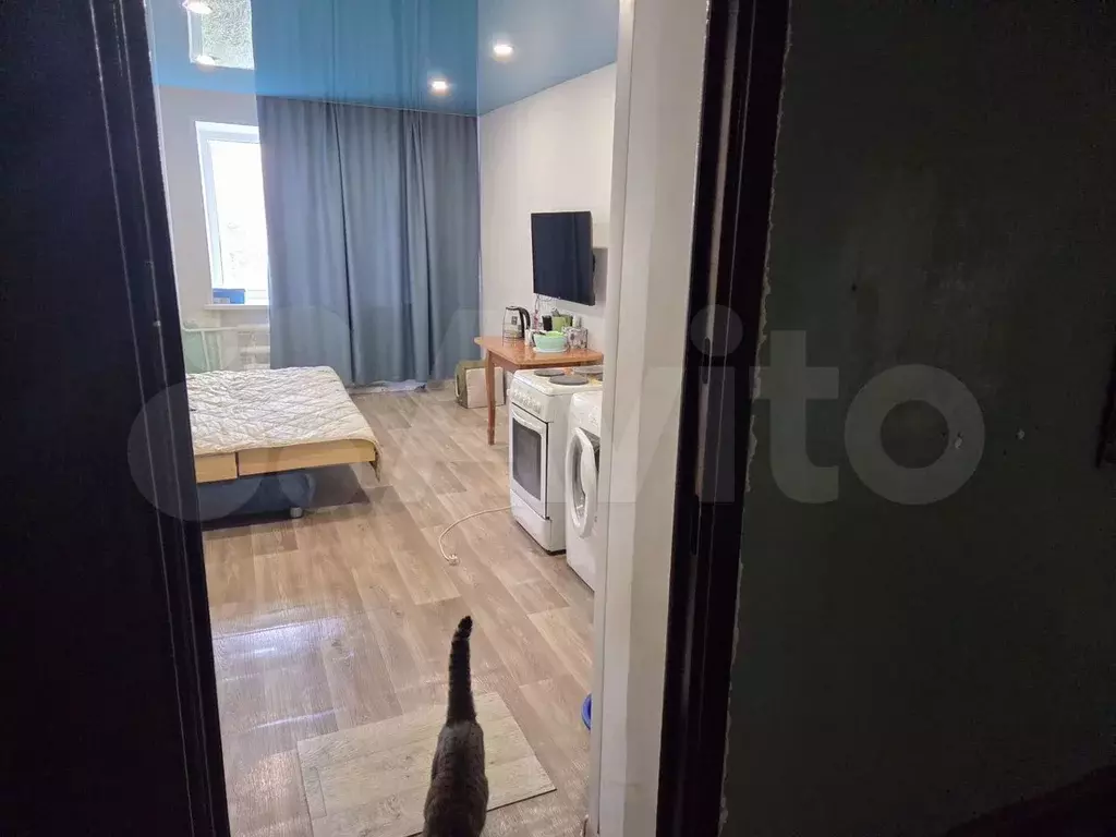 Комната 16 м в 1-к., 4/5 эт. - Фото 1