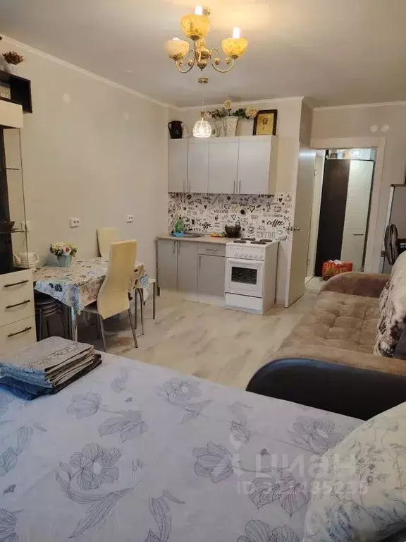 Студия Пермский край, Пермь Муромская ул., 24А (25.0 м) - Фото 0