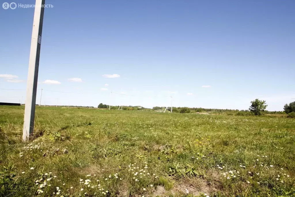 Участок в Тюменская область, Ялуторовский муниципальный округ, садовое ... - Фото 2