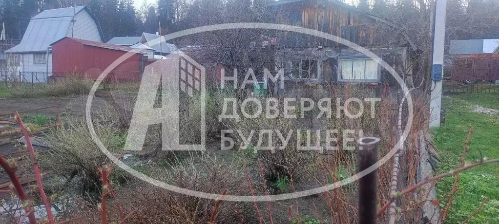 Дача 30 м на участке 5,3 сот. - Фото 0